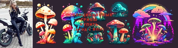 крисы Алексеевка