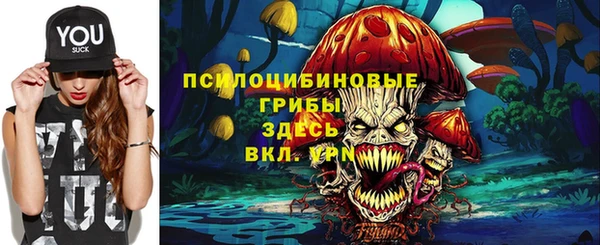 ПСИЛОЦИБИНОВЫЕ ГРИБЫ Карталы