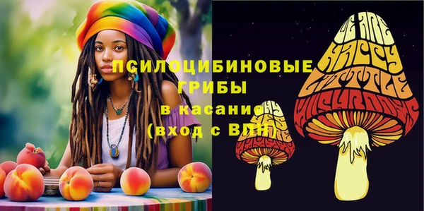 герыч Алексин