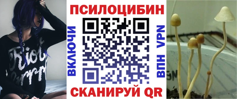 Галлюциногенные грибы прущие грибы Красногорск