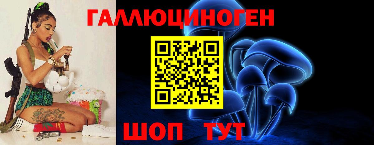 Псилоцибиновые грибы Cubensis Красногорск